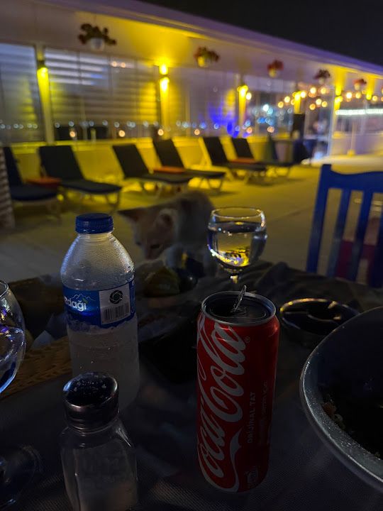 Fotoğraf 74