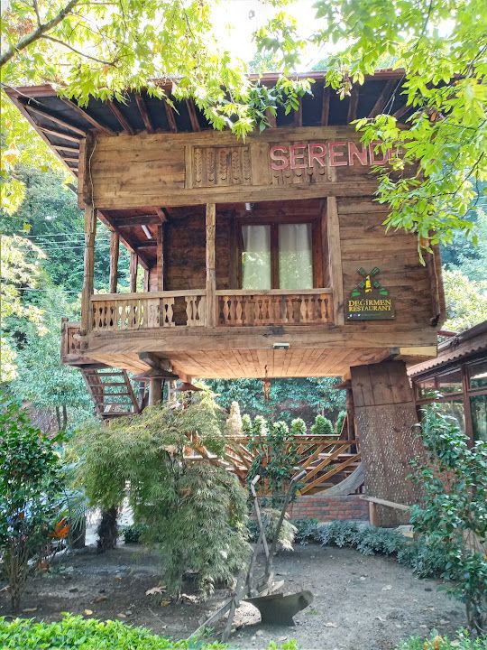 Fotoğraf 22