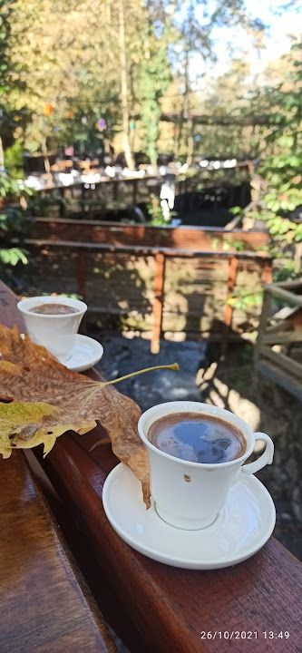 Fotoğraf 36