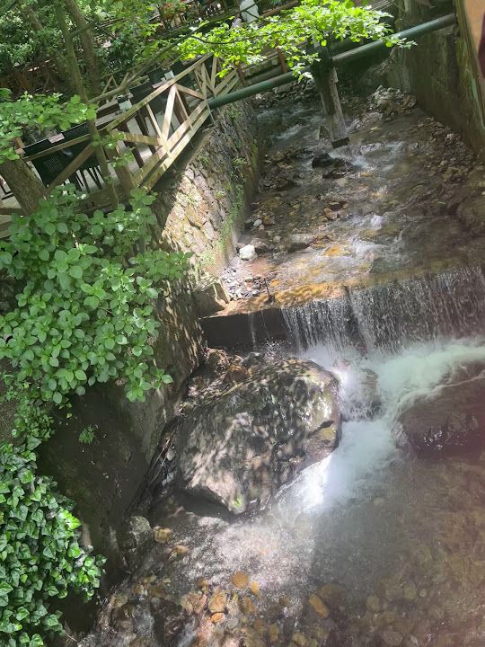 Fotoğraf 27