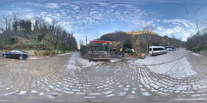 Fotoğraf 31