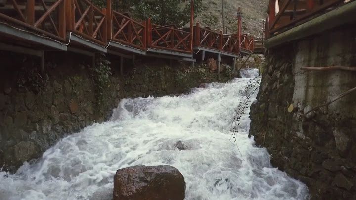 Fotoğraf 28