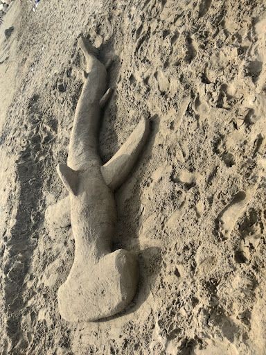 Yorum fotoğrafı 7