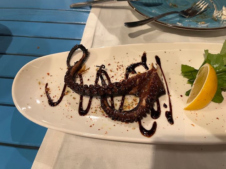 Fotoğraf 29
