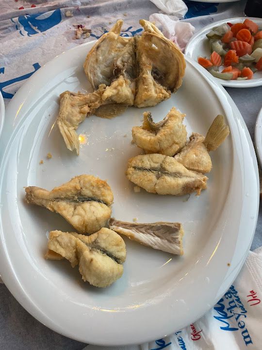 Fotoğraf 23