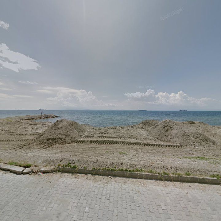 Fotoğraf 12
