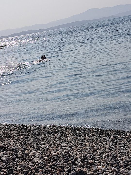 Yorum fotoğrafı 4