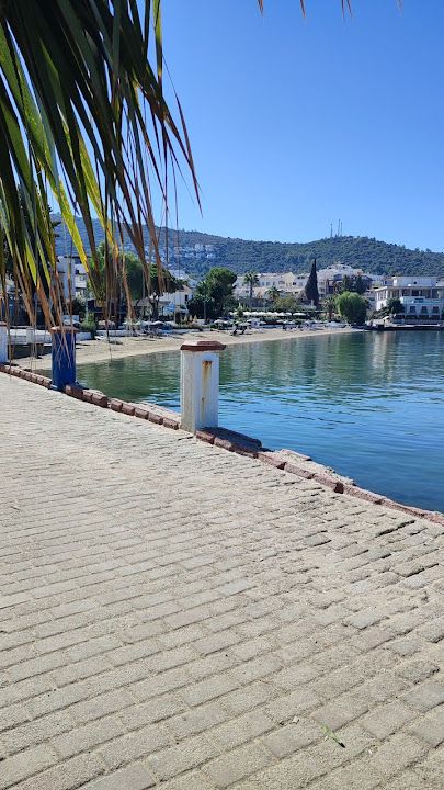 Yorum fotoğrafı 3