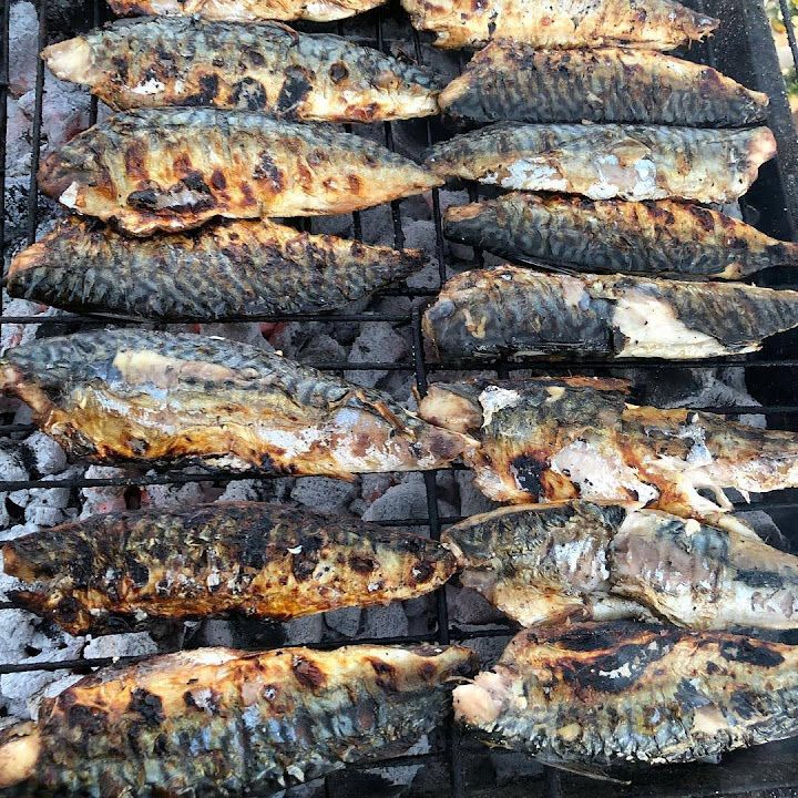 Fotoğraf 13
