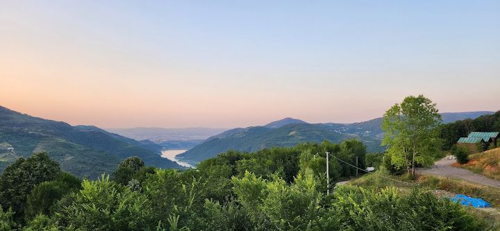 Fotoğraf 23