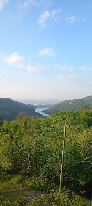 Fotoğraf 41
