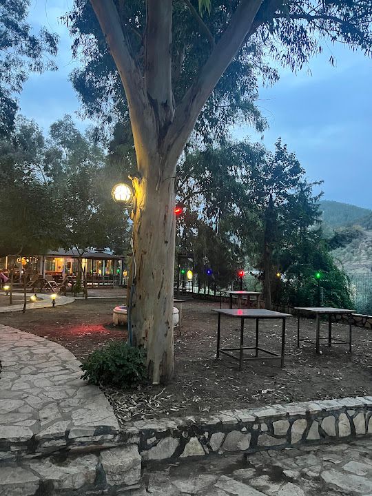 Yorum fotoğrafı 3