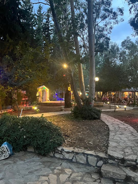 Yorum fotoğrafı 4