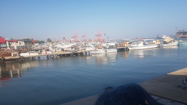 Yorum fotoğrafı 3