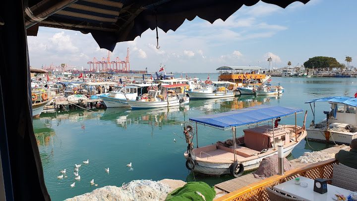 Yorum fotoğrafı 2