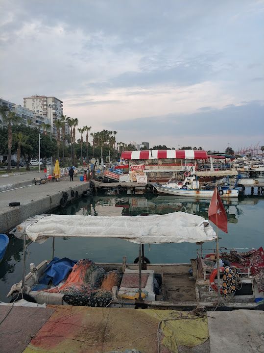 Yorum fotoğrafı 3