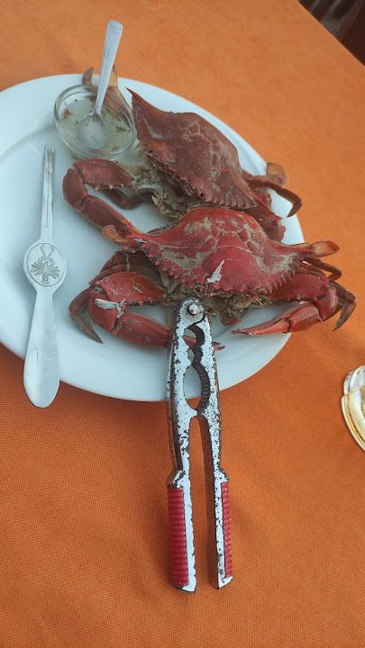 Fotoğraf 35