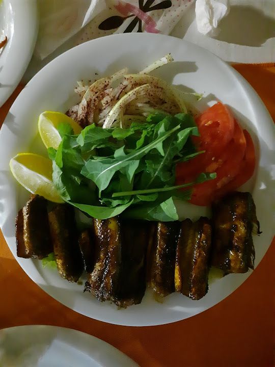 Fotoğraf 45