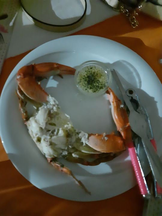Fotoğraf 44