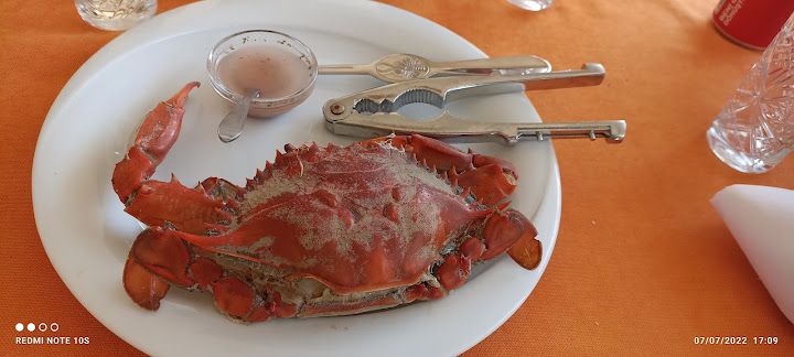 Fotoğraf 49