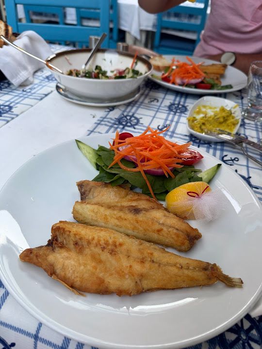 Fotoğraf 27