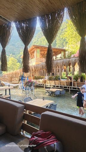 Yorum fotoğrafı 8