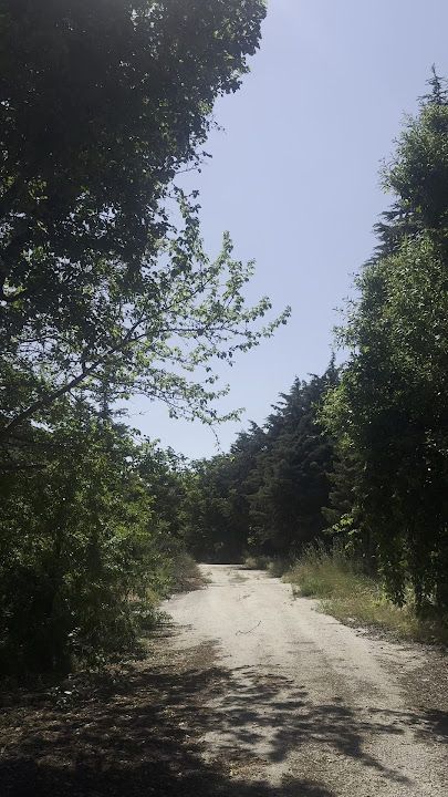 Fotoğraf 14