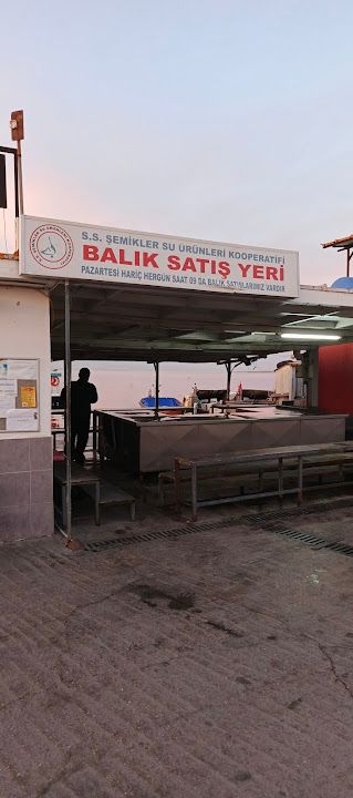 Fotoğraf 27