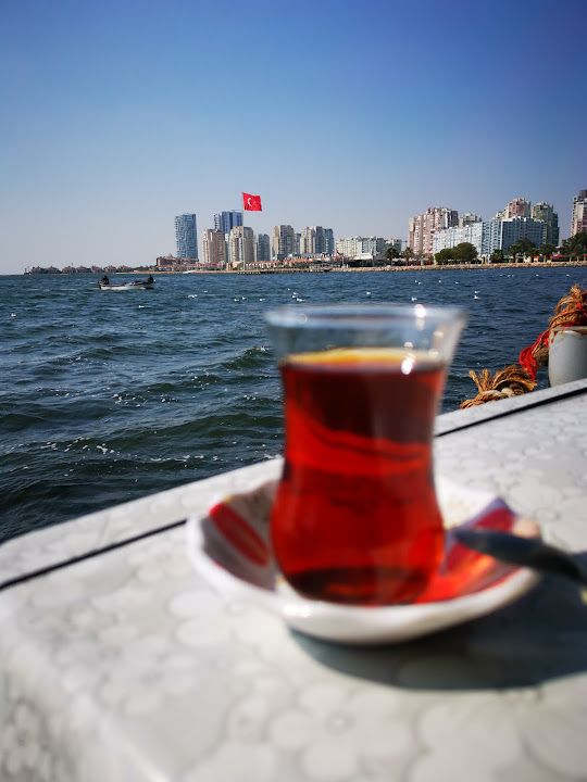 Fotoğraf 31