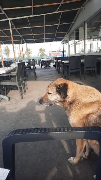 Yorum fotoğrafı 3