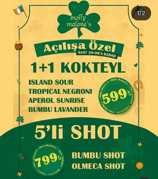 Fotoğraf 17