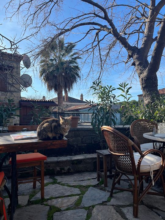 Yorum fotoğrafı 2