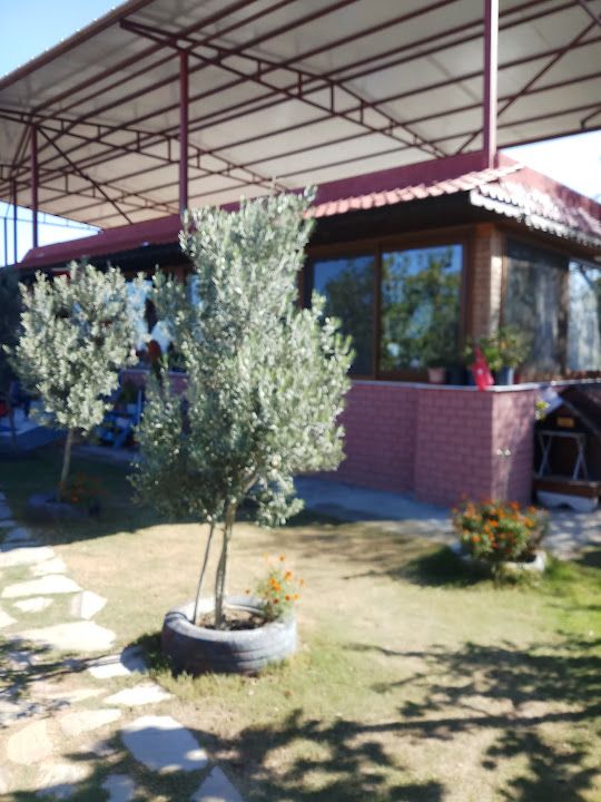 Fotoğraf 53