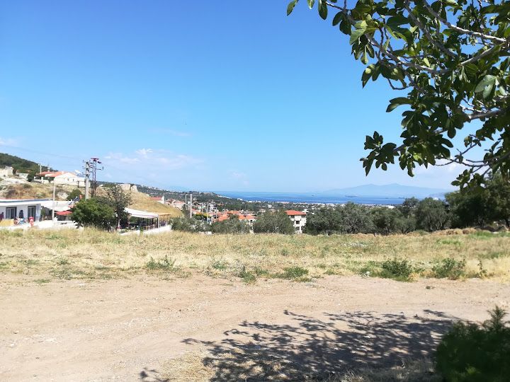 Fotoğraf 22