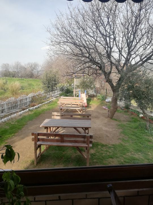 Fotoğraf 50