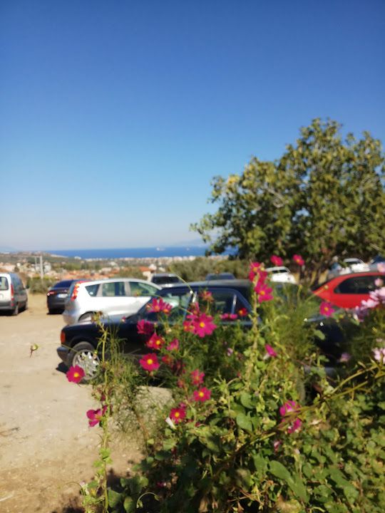 Fotoğraf 54