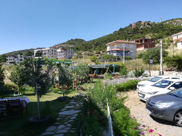 Fotoğraf 24