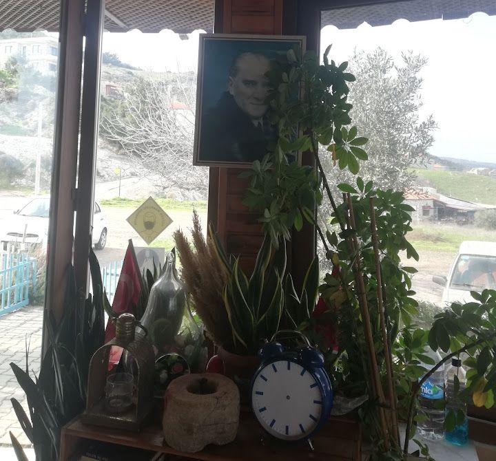 Fotoğraf 51