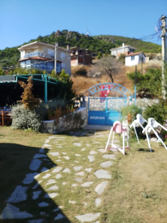 Fotoğraf 56