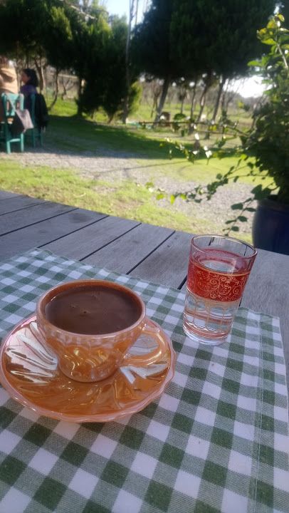 Fotoğraf 31