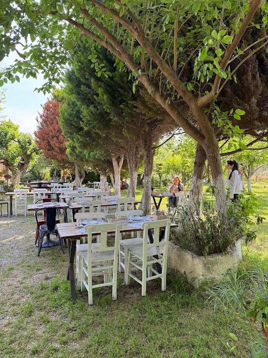 Yorum fotoğrafı 4