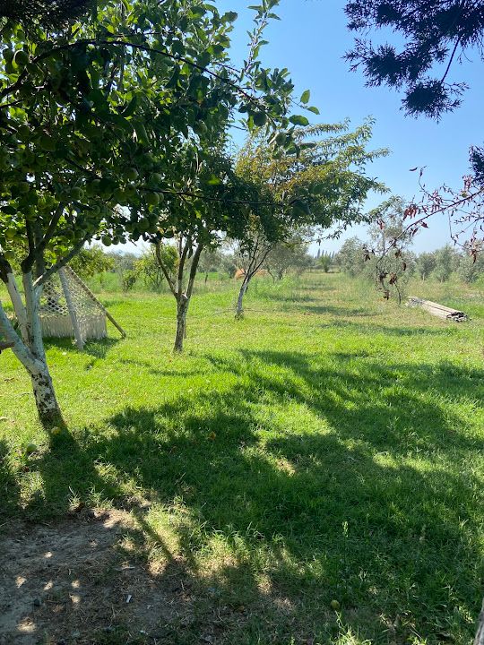 Fotoğraf 17