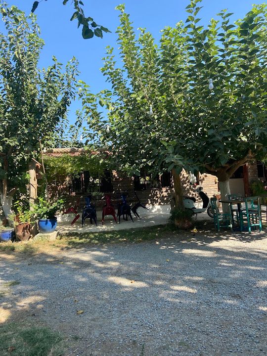 Fotoğraf 16