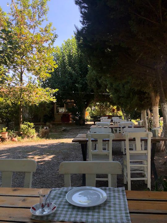 Yorum fotoğrafı 3