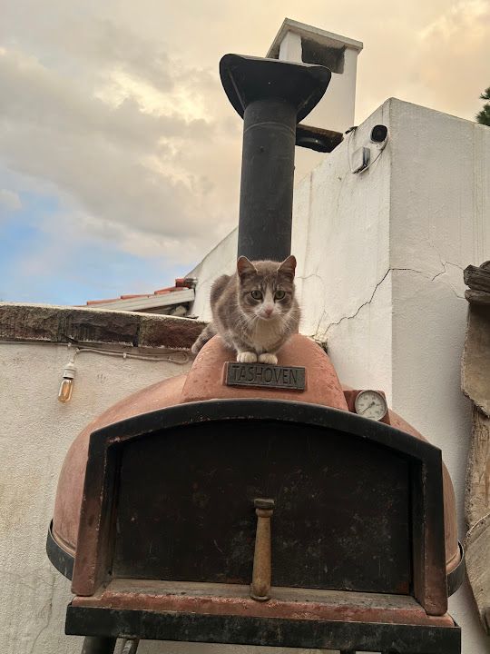 Yorum fotoğrafı 3