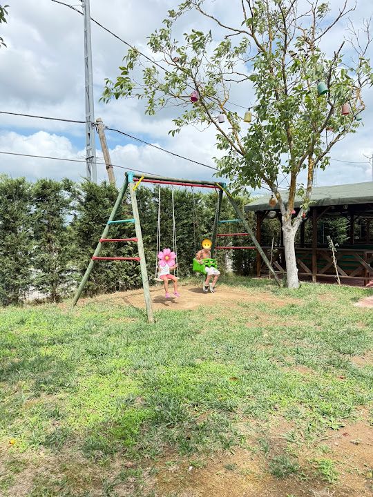 Fotoğraf 39