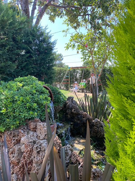 Fotoğraf 27