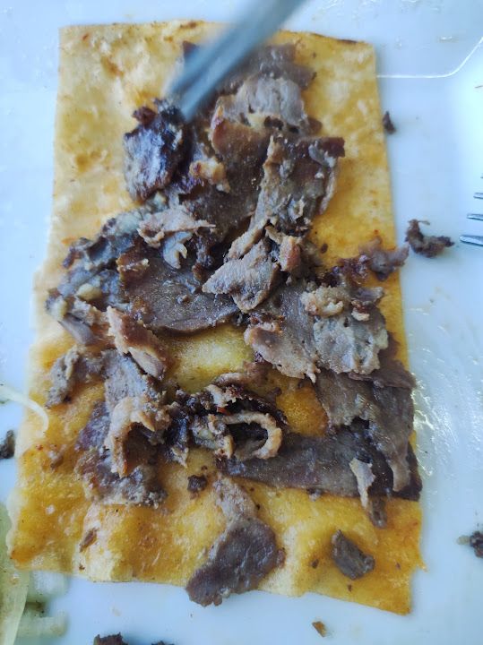 Fotoğraf 13