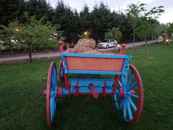 Fotoğraf 10