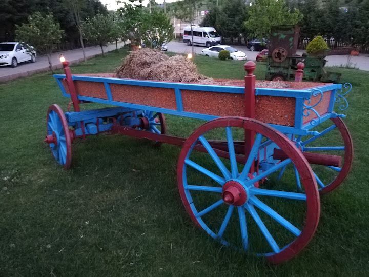 Fotoğraf 8